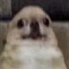 HcYxc41507's profile picture. 