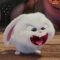 Rabbit Teeth(@Rabbit_Teeths) 's Twitter Profile Photo