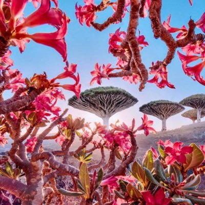 Muddasir_8's profile picture. Engineer.Thinker.With A Satisfied Mind.