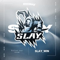 Core Slay【 大会用 】 (@slay_pass) Twitter profile photo