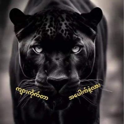 Sanm17067947's profile picture. သူေကာင္းရင္ကိုေကာင္းမယ္
ဒိတ္ခ်င္ဒိတ္လို႔ရတယ္စိတ္ပါရင္ဒိတ္တယ္