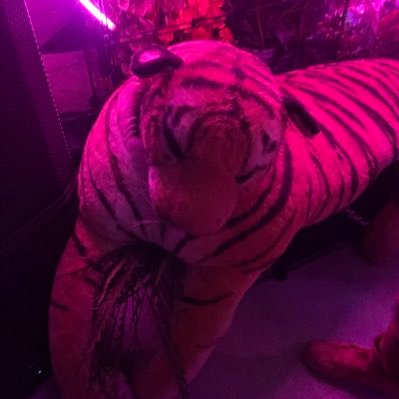 stock_corolla's profile picture. Keep Moving Forward