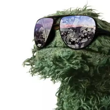 JustAOtter91's profile picture. Just a curious boi