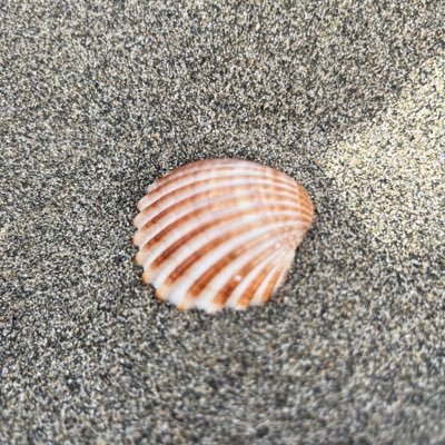 kaunis__tytto's profile picture. she/her 🐒