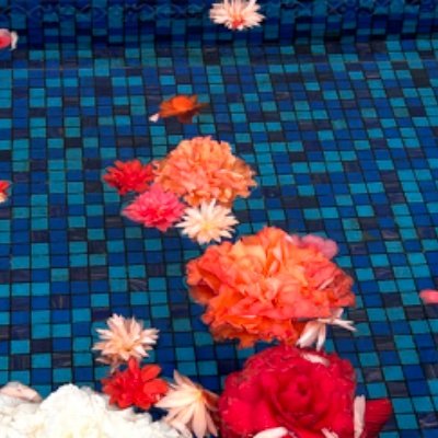 Ds8zbM4ZJKMUai6's profile picture. 2期星🌏