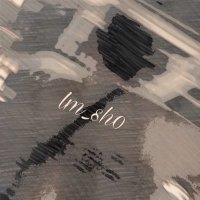 しょー (@lm_sh0) 's Twitter Profile