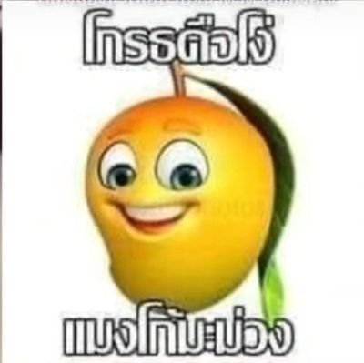 มามีมูมาโมมินนี่มินโน่มินนั่นさんのプロフィール画像