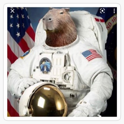capibara espacialさんのプロフィール画像