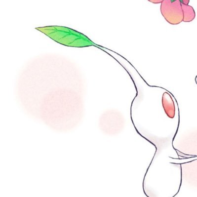 ぽかさんのプロフィール画像