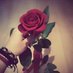 زهرة البستان (@shat188) Twitter profile photo زهرة البستان (@shat188) Twitter profile photo