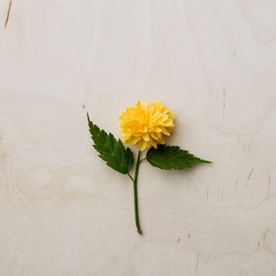 EveBlue_Blog's profile picture. 
