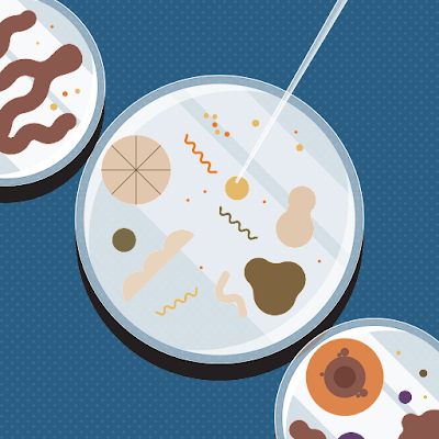 TomDvok277356's profile picture. 