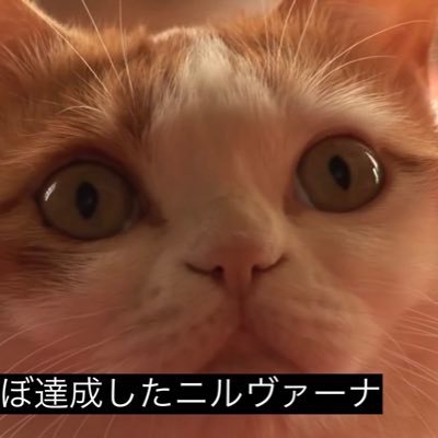 tara_hoke's profile picture. 
