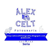 Alex Celt Foto (@alexcelt_) 's Twitter Profile