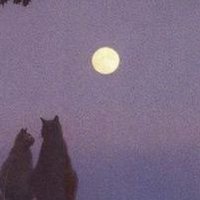 emm (@happinesswh) 's Twitter Profile Photo emm (@happinesswh) 's Twitter Profile Photo