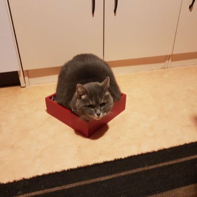 faridazourane1's profile picture. Liberté