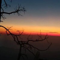 Ekram Hossen (@ekramhossen) 's Twitter Profile