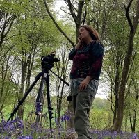 PocketfullofAcorns (@pocketfullofac1) 's Twitter Profile