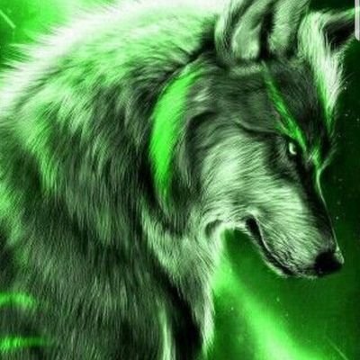 Celtic Wolf 🏴󠁧󠁢󠁳󠁣󠁴󠁿🍀