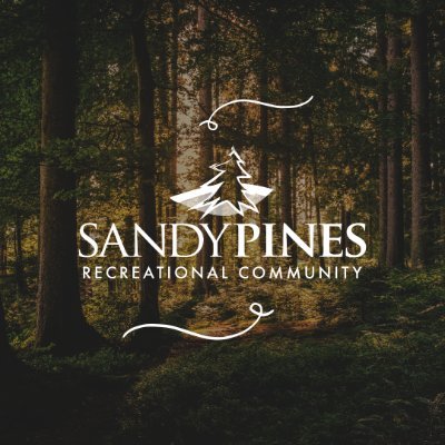 Sandy Pines