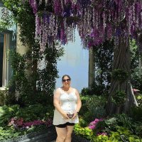 April (@themaineapril) 's Twitter Profile Photo