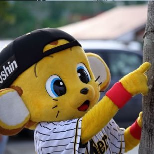 日本を愛する関西人🇯🇵 阪神タイガースの大ファンです🐯札幌と博多にマンションほしい…❤️