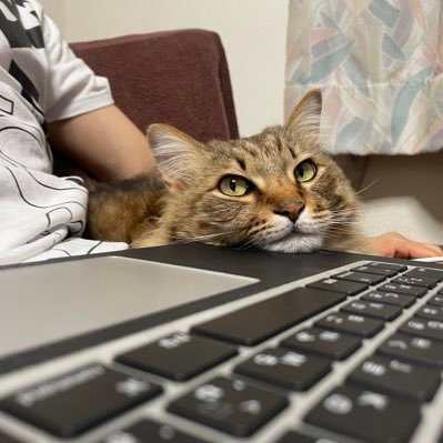 スキンケアはエチケット。匂いを気にするのと一緒。あと、シンプルに体に良い物が好き。 #抗酸化 と #スキンケア 、自分が持って生まれた本来の肌を取り戻そう。