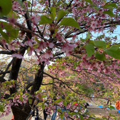 見る専門↑ 20歳越 成人済み 英数3､英4文字理解。🗝→プライバシー保護と誹謗中傷対策、繊細なジャンルがある為です。 予めご了承ください。 ⚠️幅広いジャンルを読みますがcpは(ほぼ)固定です。ﾀﾞｲｼﾛ､61､🕶️🐯､🌙☀️､🎋📛､🧻(⇆) 🔨大好きです。無言フォロー失礼します。