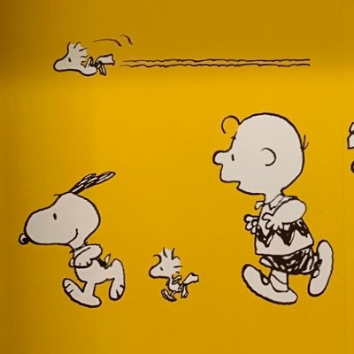 chibisasan's profile picture. BE:FIRST箱推し♡レオくんご贔屓ですが7人大好き♡HANA束推し💐マイペースに推し活中♡