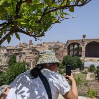 Syncamore Tree (@stampwords) 's Twitter Profile Photo Syncamore Tree (@stampwords) 's Twitter Profile Photo