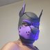 Pup Tai (@tators777) Twitter profile photo Pup Tai (@tators777) Twitter profile photo