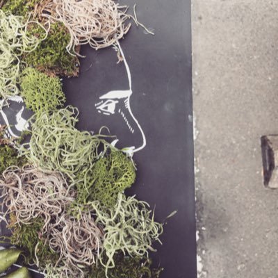 greenroom000's profile picture. 