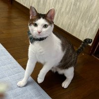 あず (@azupon_007) 's Twitter Profile Photo あず (@azupon_007) 's Twitter Profile Photo