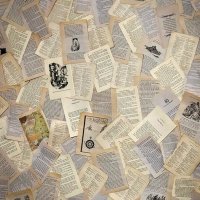 Iris Rhyn (Cover Me in Pages) (@irisrhyn) 's Twitter Profile Photo