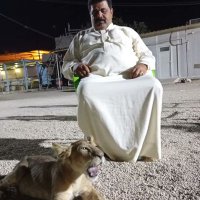 وليد صالح (@oubf8dhy79oc8zc) 's Twitter Profile