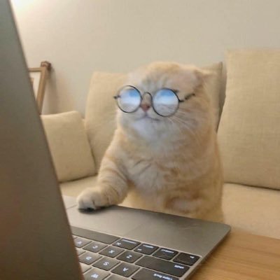 DevitStef's profile picture. 