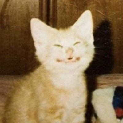 __woly's profile picture. anos atrás uma mulher ficou grávida e mandaram ela abortar pq o bebê ia nascer deformado . a mulher é minha mae o bebê sou euu