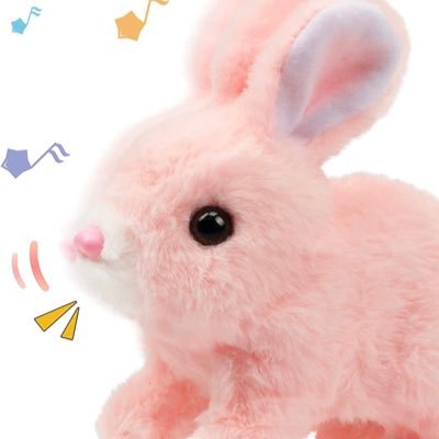 teddyさんのプロフィール画像