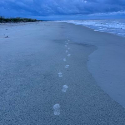 steelerfanrob's profile picture. Mt. Kilimanjaro hiker