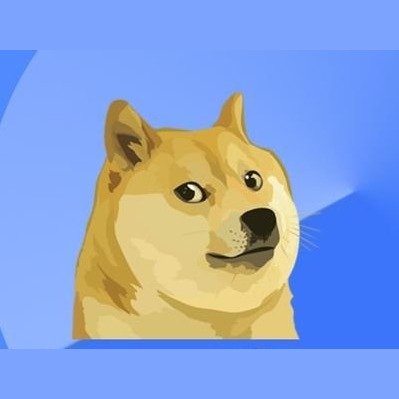 $BDOGE | Bringing The Superior Doge Memecoin Community to Base 🛡️