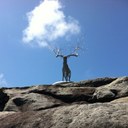 Julia Ham - @JuliaHam - Twitter