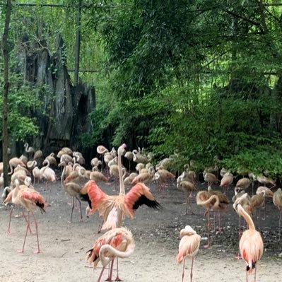 saraalajajii's profile picture. 