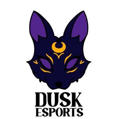 DuskEsports444's profile picture. The official Dusk E-Sports Twitter account.