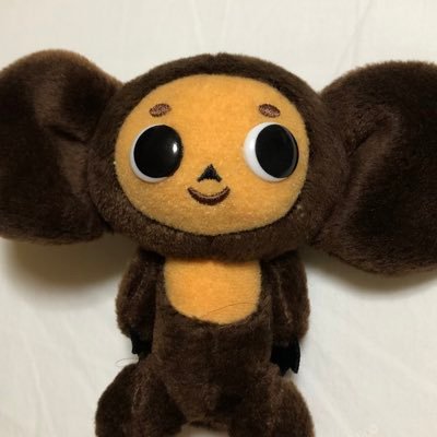 karikariyokose's profile picture. 無言フォローお許しください！