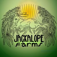 Cannabis 👩🏼‍🌾-Kimmie Mullen(@jackalope_farms) 's Twitter Profile Photo