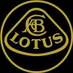 AIRBUS Lotus F1 Team (@LotusGPF1) Twitter profile photo
