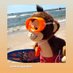 LaurenceVB (@balibayv) Twitter profile photo LaurenceVB (@balibayv) Twitter profile photo