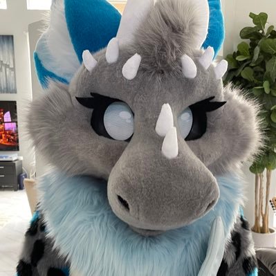 Just your everyday snow leopard spotted Dutch Angel Dragon