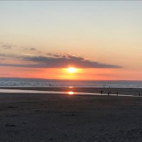 Gwyn (@gwyntudor) 's Twitter Profile