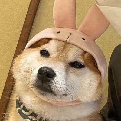 number4_noob's profile picture. 社会人24 lolキャンセル界隈 募集の時だけ鍵開けてます